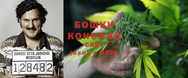 гидропоника Богородск