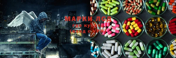 гидропоника Богородск