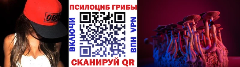 Псилоцибиновые грибы GOLDEN TEACHER  Краснозаводск 